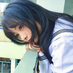 巴中房产网截图